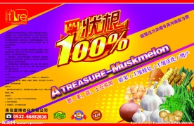 葱姜蒜壮根100