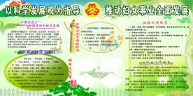 发展妇女事业展板