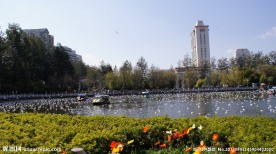 翠湖