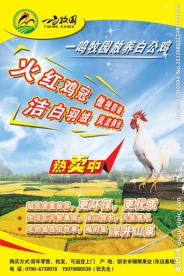 活动酬宾海报