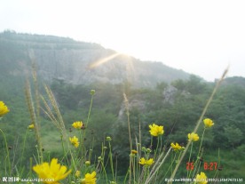 山花烂漫