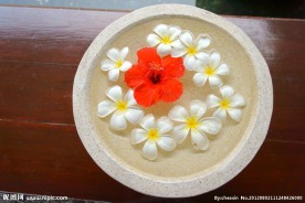 鸡蛋花