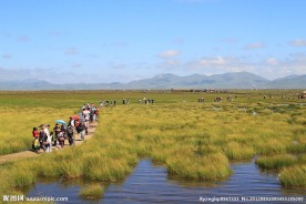 若尔盖花湖之夏