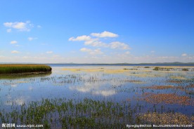 若尔盖花湖之夏