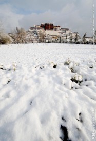 雪景 布达拉宫