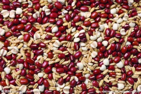 煮粥米 煮粥米背景