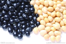 黑豆 黄豆