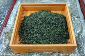 日照绿茶