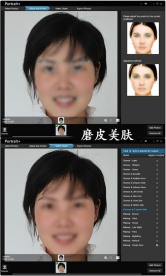 ArcSoft Portrait Plus 1 0 0 90 磨皮美肤软件