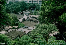 绿树环绕 古厝