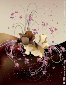 咖啡花