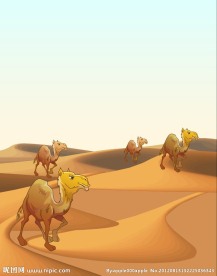 沙漠骆驼