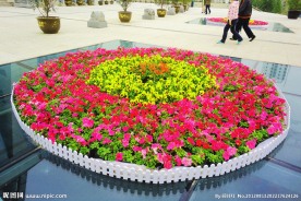 五色花池