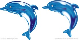 海豚