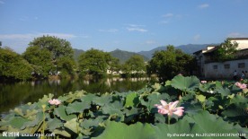 宏村南湖小景