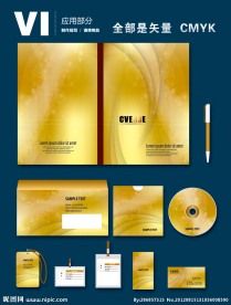 金色炫彩商务科技VI