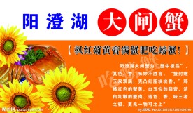 阳澄湖大闸蟹