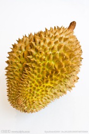 榴莲