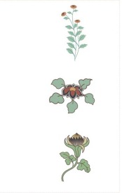 清新花纹矢量图