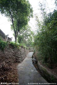 乡村小路