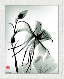 水墨画花