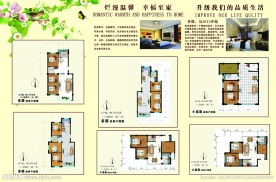 房地产彩页