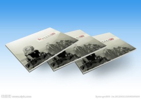 历史书籍画册封面