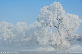 雪地雾凇