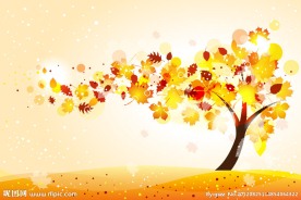 动感秋天枫叶树木