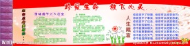 真爱生命 放飞心灵