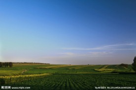 草原风景