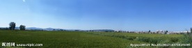 田园绿色风景图