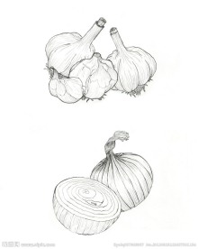 大蒜 洋葱