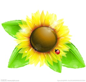 向日葵蜜蜂梦幻背景