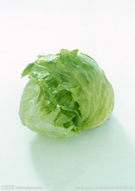 包菜