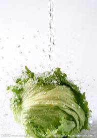 水中包菜