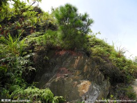 山松