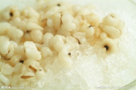 冰粥 薏米冰粥