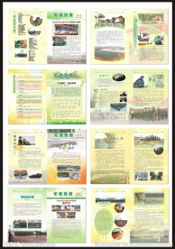 军训简报