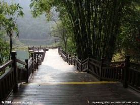 竹林小道
