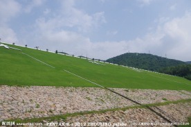 水库 深圳梅林水库