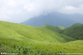 高山草甸