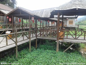 茶叶观光园