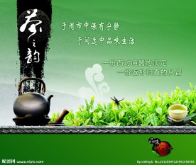 茶芽 茶素材