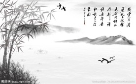 竹子风景