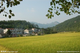田园风光