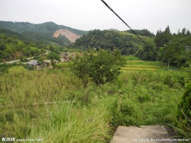 秋天的原野