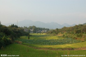 田园风光