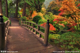 公园秋景 小桥