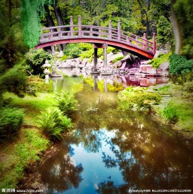 公园秋景 小桥